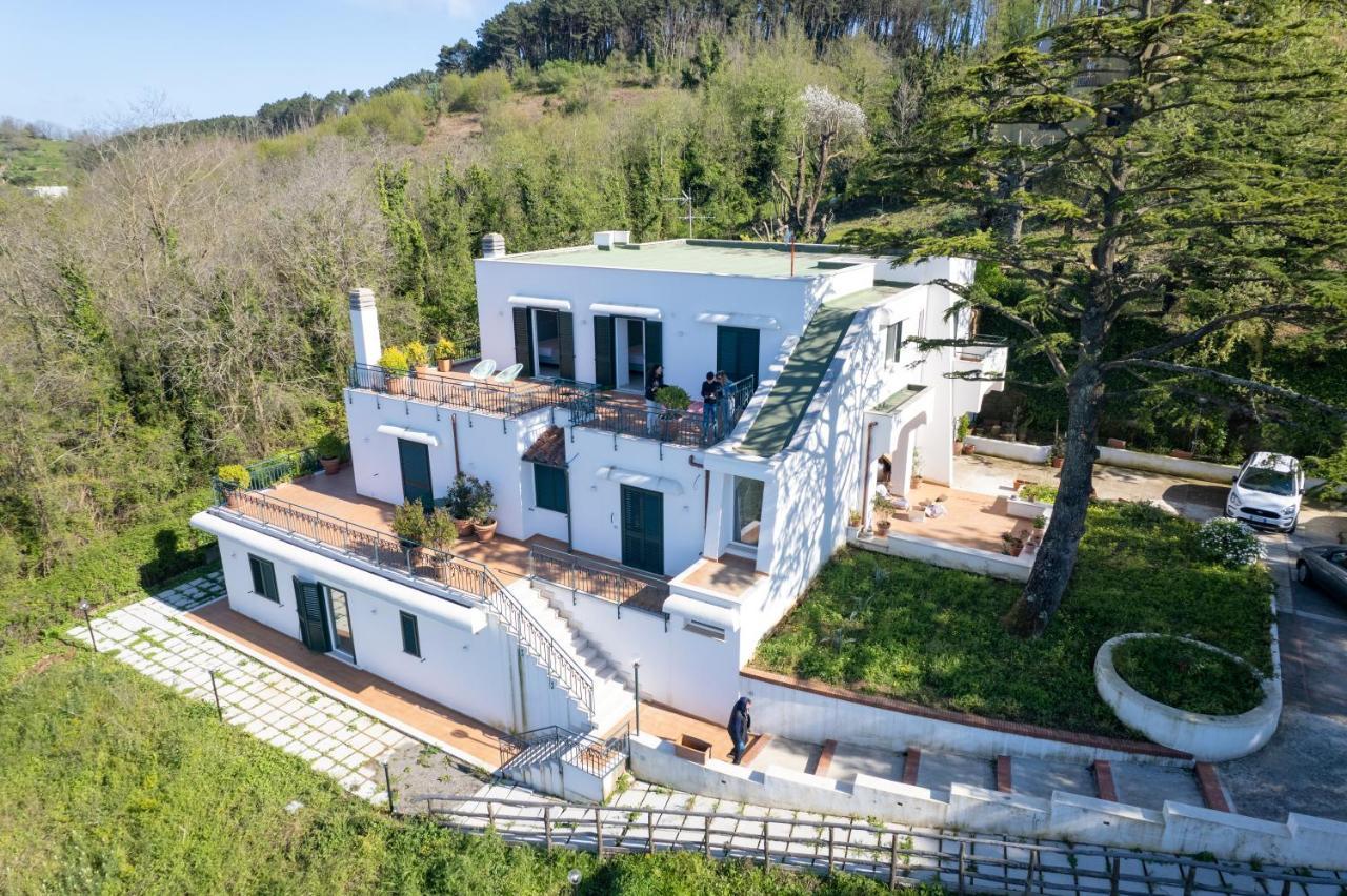 Villa Maiki Torca エクステリア 写真